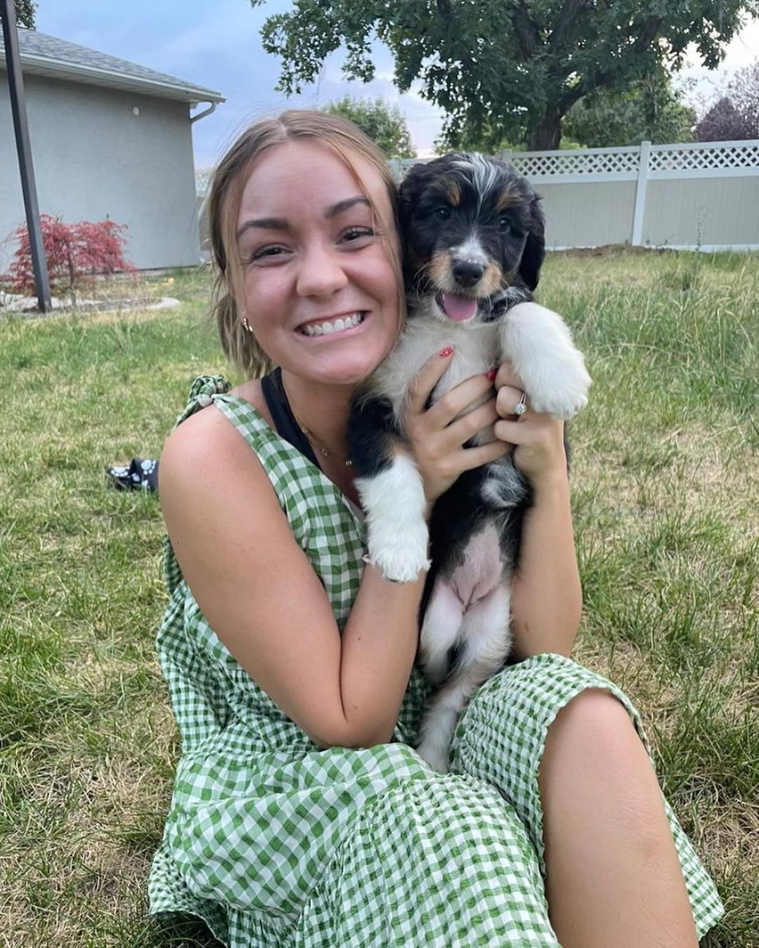 Mini Aussiedoodle Puppies For Sale